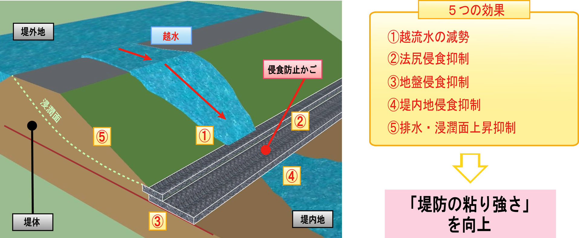 侵食防止かごの効果